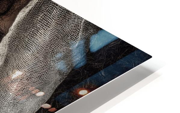 2463715 :: HD Sublimation Metal Print